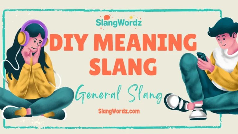 Diy meaning slang