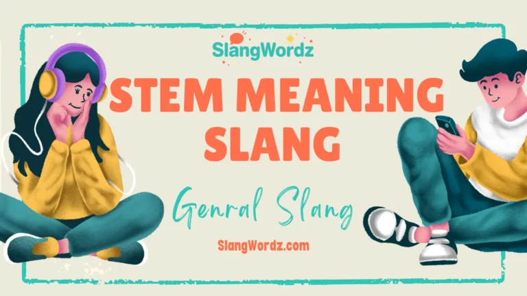 Stem meaning slang