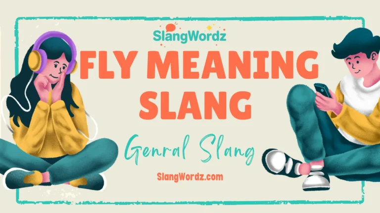 fly meaning slang