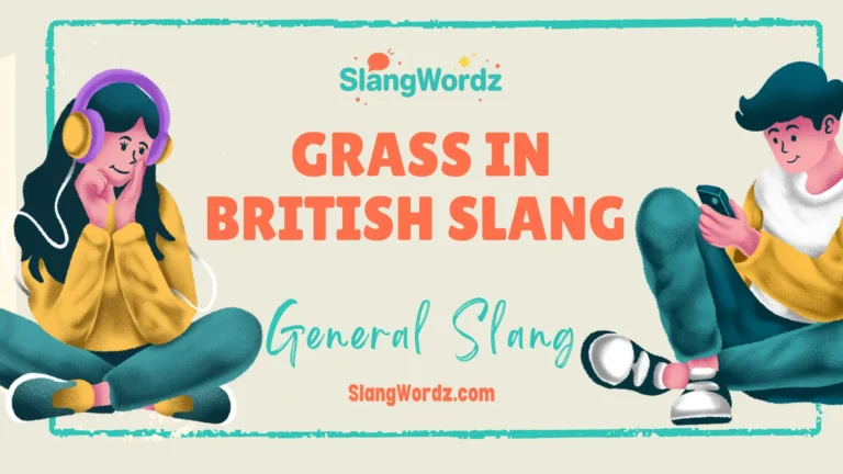 what is a grass in british slang