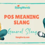 pos meaning slang