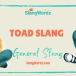 toad slang