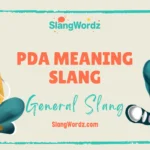 pda meaning slang